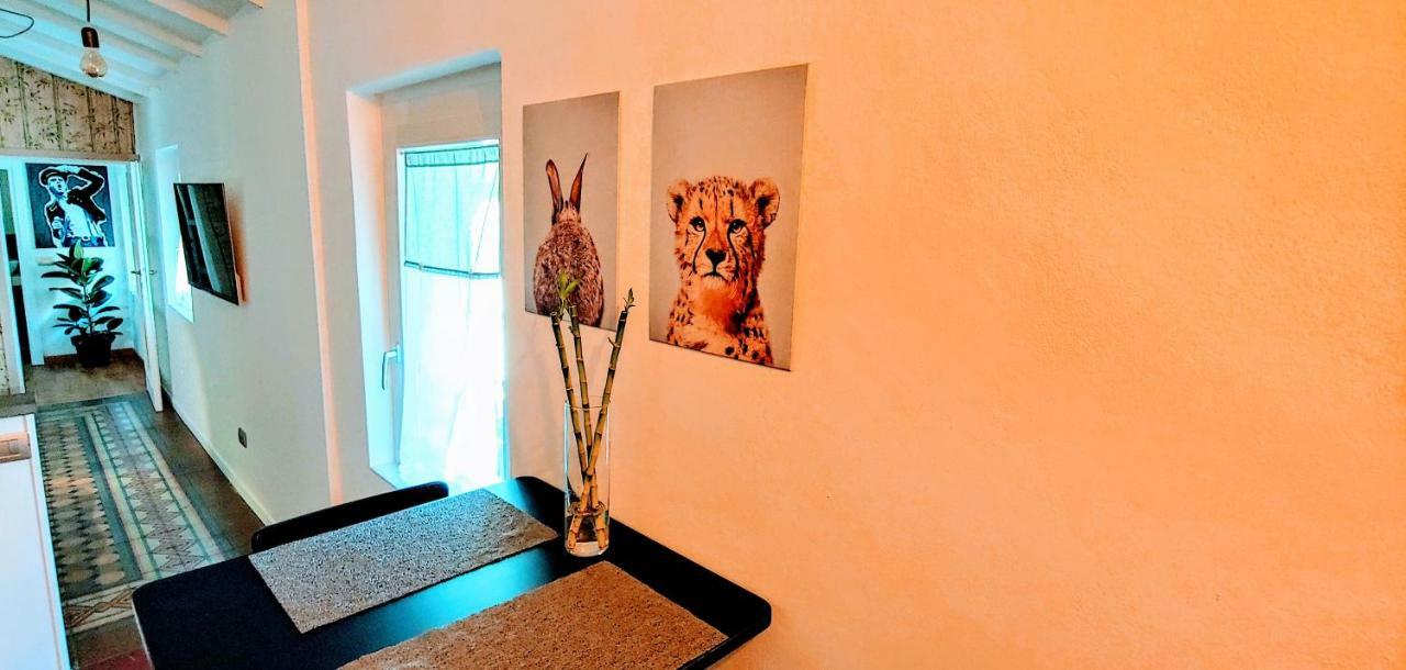 Db House, Town Center Apartment Bergamo Room photo